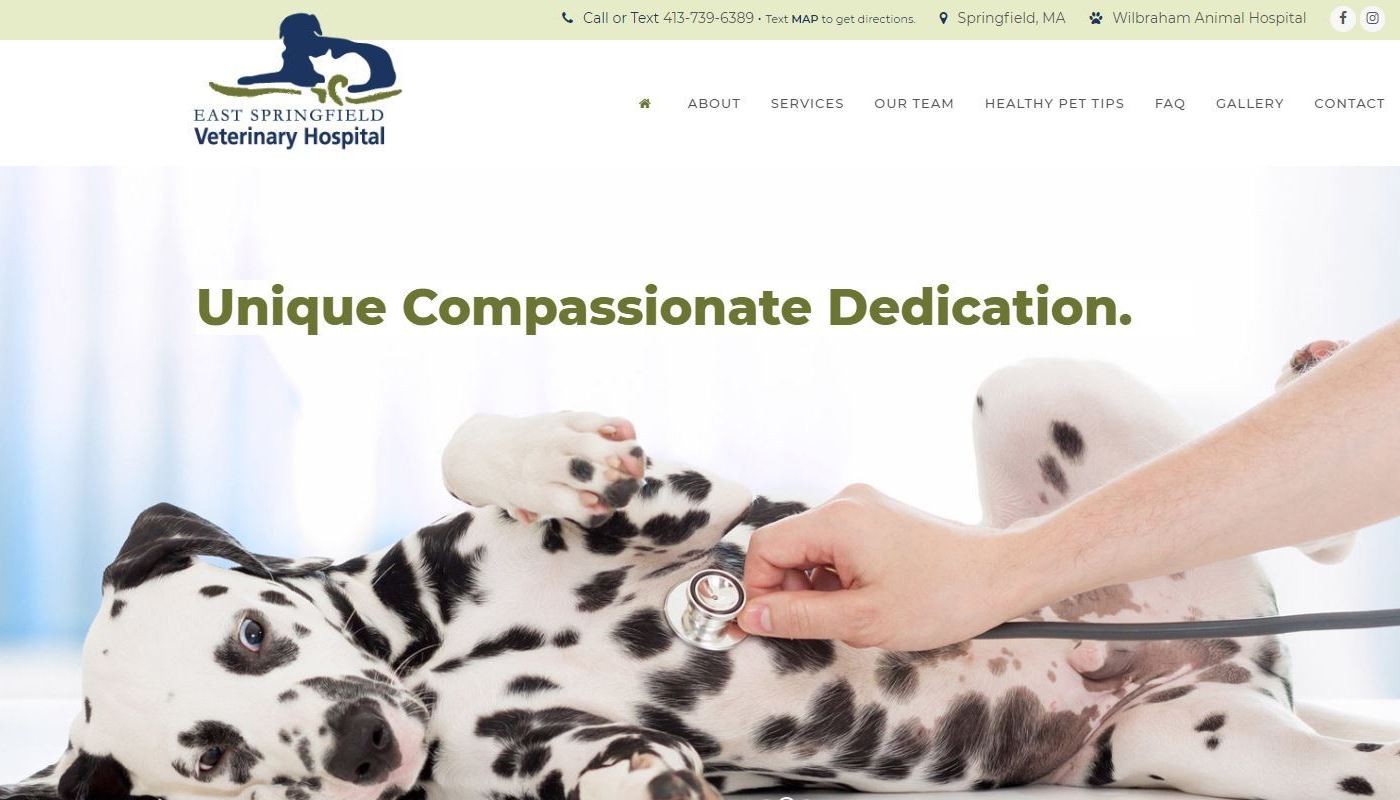 ESV Vet Hospital WordPress Website Design Springfield MA